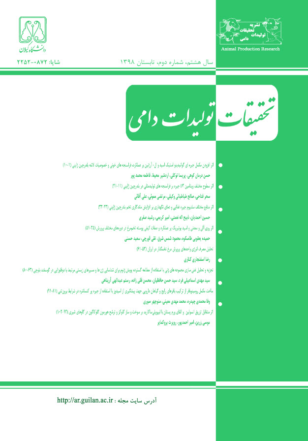 Набросок